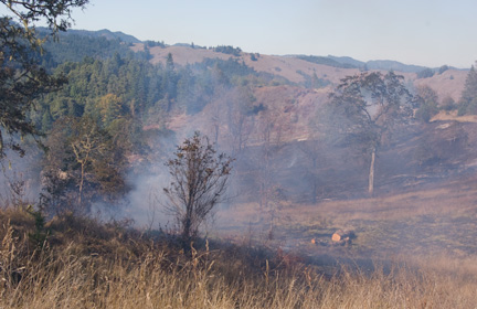 after-the-burn After the burn