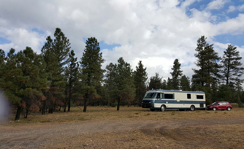 Kaibab National Forest, just south of the Grand Canyon