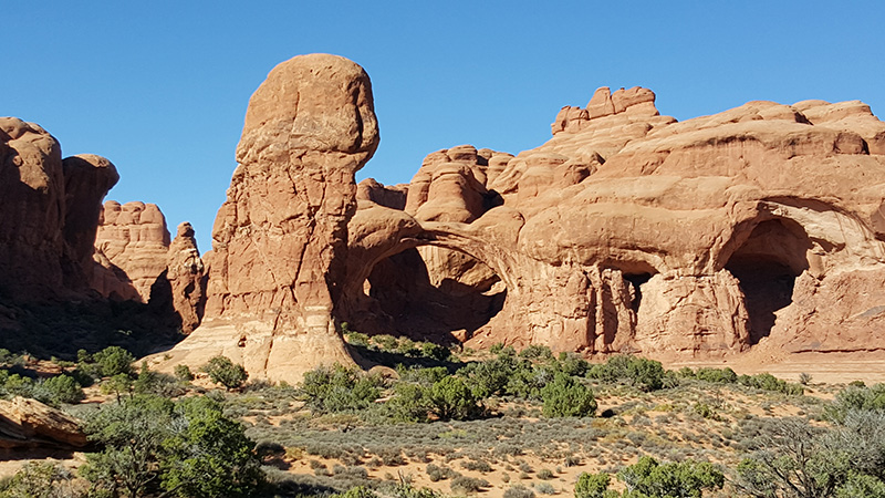Arches in Arches National Park, Utah