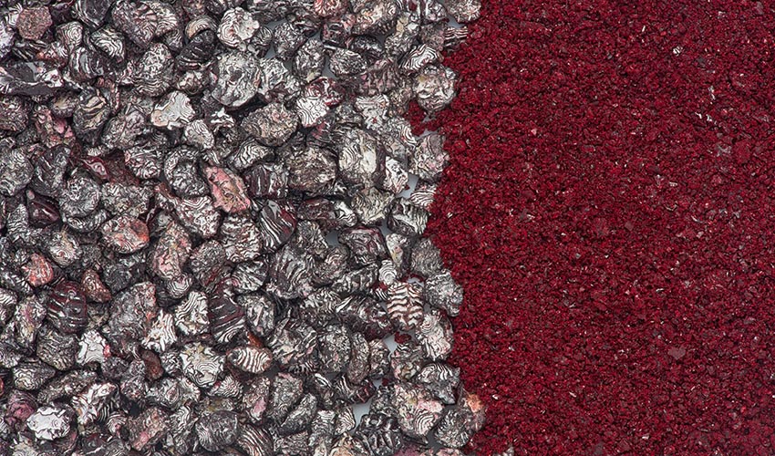 Dried cochineal insects and ground pigment.